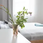 Destne Apartmany *