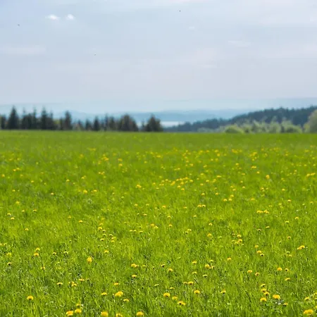 Apartament Destne Apartmany *